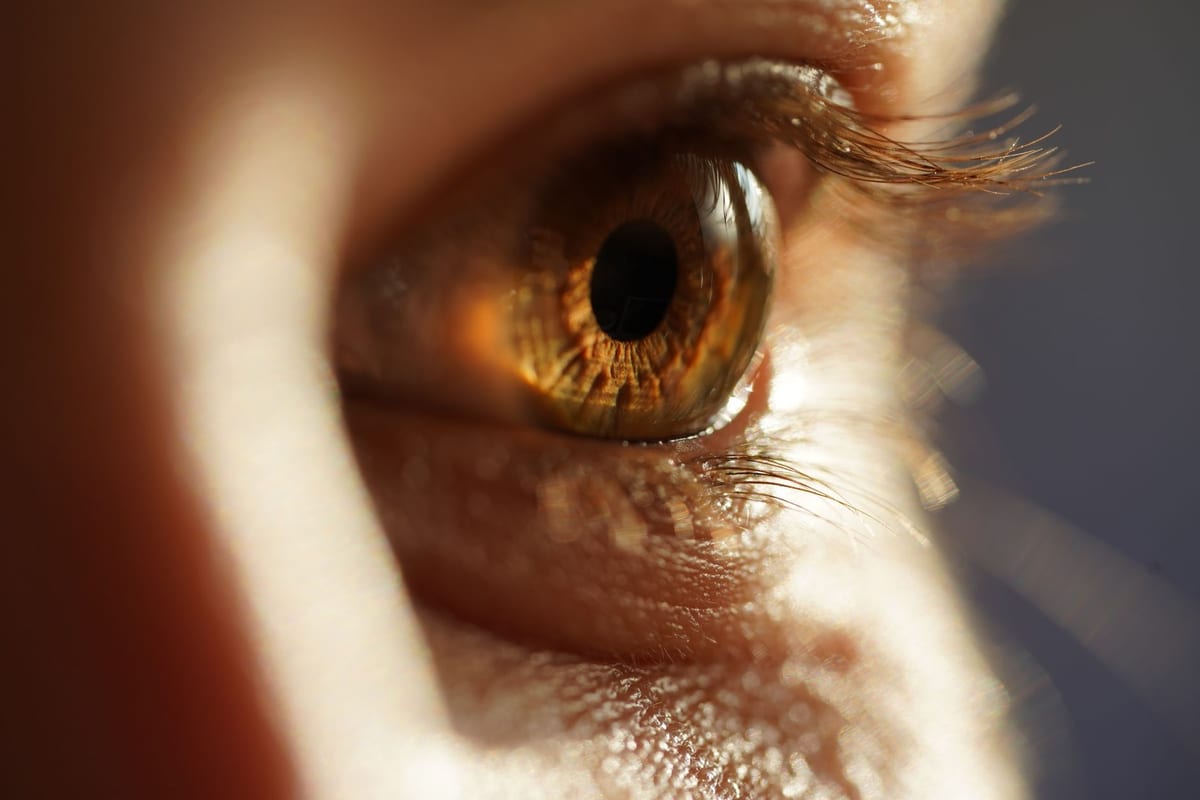 A close view of a healthy eye
